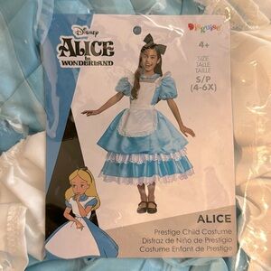Disney Alice in Wonderland child costume